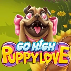 Go High Puppy Love slot icon by RubyPlay, available at Kingmaker Casino