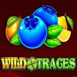 Play the Wild Traces slot by Amusnet Interactive on Kingmaker Casino